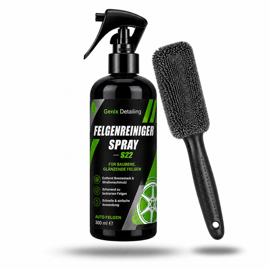 Detailing Felgenpflege mit Bürste